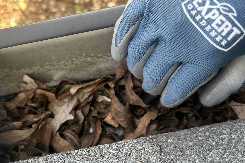 Gutter Cleaning Liberty, MO